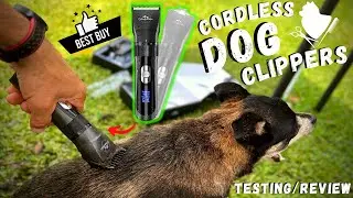 Cordless Dog Clippers 2 in 1 Kit Amazon - Unboxing/Review