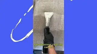 SoCal Carpet Care Upholstery Cleaning