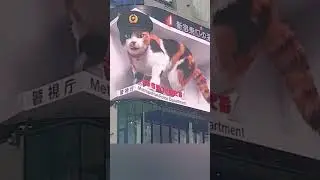 CAT ON THE EDGE 3D LED BILLBOARD IN TOKYO JAPAN#shorts #viralshort #3danimation #3dbillboard