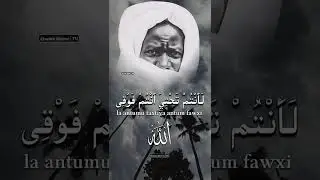 #khassida #cheikhbichri #mourides