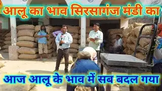 आज का आलू का भाव सिरसागंज मंडी का | आज आलू के भाव में सब बदल गया | Aalu Ka Bhav Sirsaganj Mandi