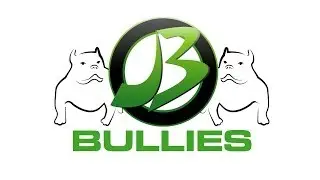 WWW.JBBULLIES.COM-AMERICAN BULLY PRIME POSING FOR THE CAMERA
