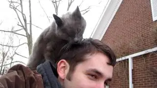 My Cat Licking my Hair