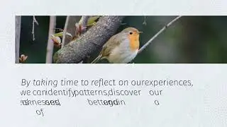 Self-reflection exercises to gain clarity and insight