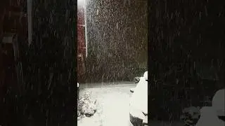 SNOWING NIGHT. 🥶🥶#1k #1millionviews #norwaylife #bobil #norja #husbil #cold #doglife #dog