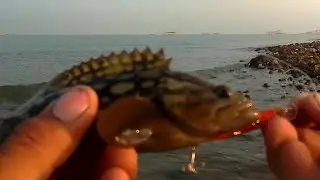 Minnow Handmade 4cm makan banyak korban kerapu PAUD!!!!😂😂