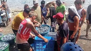 Mahigit 300 kilos Ang nakuha nilang isda 
