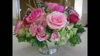 Pelvic Floor Affirmations for Softness and Support By Danielle Gensler