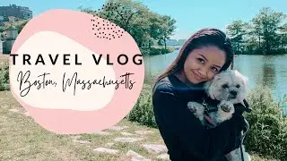 DOG FRIENDLY Boston Weekend Getaway