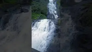 PERIYA CANAL WATERFALLS - Munnar #TRENDING #TRAVEL #MUNNAR #2025 #SHORTS #VIRALSHORTS