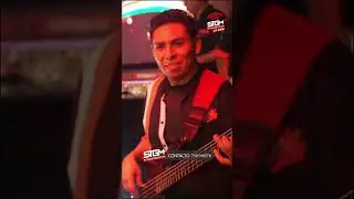 Te vas - cover grupo stygma