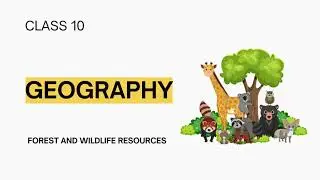 Geography - Forest and Wildlife resources