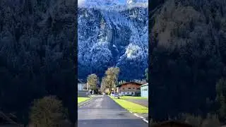 Switzerland #alanwalker #dotdesign #notforyou #shorts