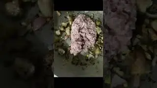 Stir Fry Bottle Gourd with mince Pork in Ilonggo kalubay