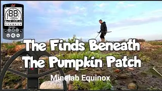 Metal Detecting uk | Field Hunting | Minelab Equinox 800