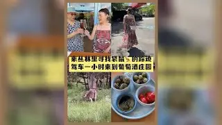 来丛林里寻找袋鼠的踪迹，驾车一小时来到葡萄酒庄园