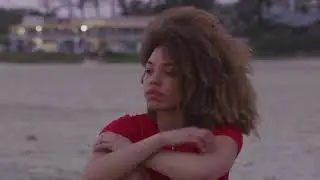 Devine Lie - Troubled Times [Official Music Video]
