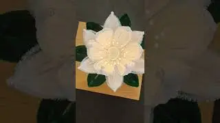 Light magic: the flower taking over the Internet ✨#short #YouTubeShorts #viral #trending #handmade