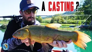MA TU NON SEI UN BASS! - LA TINCA IMPAZZITA