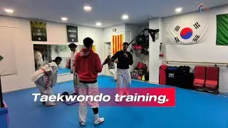 Taekwondo training / Physical conditioning 