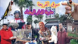 سوق القريعة يوم الأحد 1\2\2026 تعرف على الآتمنة الطيور والحيوانات الأليفة مدينة الدار البيضاء 💯✌️