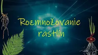 Biol&oacute;gia 8. ročn&iacute;k _ Rozmnožovanie rastl&iacute;n