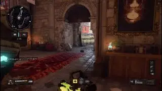 BO4 bloodthirsty clip