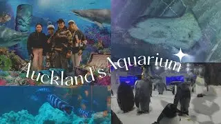Auckland's Aquarium | Sea Life Kelly Tarlton's | Family Bonding | Alexa Cayetano