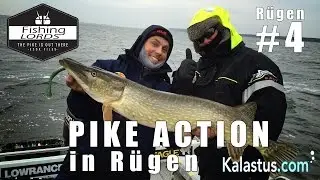 Pike action in R&uuml;gen