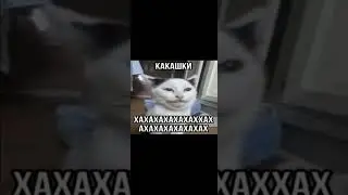 Quasha - Кавабанга