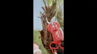 M12&trade; Brushless Pruning Shears