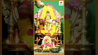 Shabari Kshetrodu | Ayyappa Swamy Tulu Song | Ajay Warriar | Gorge Thomas | Sujith S Naravi #shorts