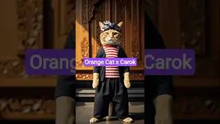 Radiant Cat in Madura Outfit 🐱 #shorts #cat