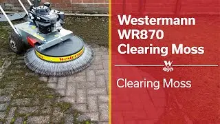 Clearing moss without chemicals with the Westermann Moss Brush