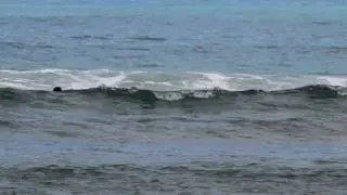 Hans Hedemann Surf  School Photographer Joseph Libby Saw this Float By