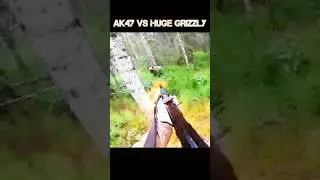 THATS A HUGE GRIZZLY 👀 #survival #bear #kodiak #hunting #Natureismetal #shtf #wild #crazy #nature