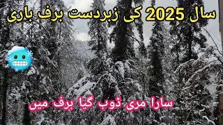 Murree live snowfall  |Murree snowfall  | murree snowfall update| Murree update |murree snow fall