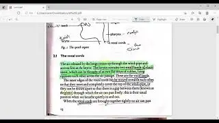 لغات انكليزي مرحلة اولى مادة الصوت محاضرة الفصل الثاني  Pronunciation 6