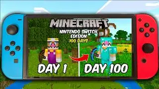 100 Days In Minecraft Nintendo Switch Edition