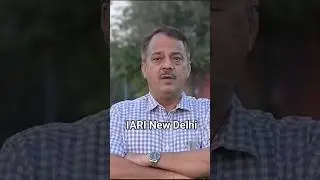 IARI