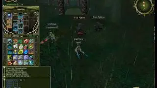 EraOfChaos    Strayana