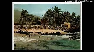 Chamoun & the Afropical - Ankili (Official Audio)