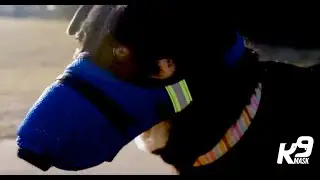 K9 Mask&reg; Dog Air Pollution Filter - Kickstarter Campaign Video