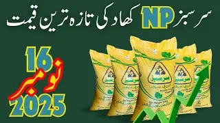 Sarsabz NP Price Today 2025 | NP Rate Update