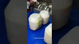 Coconut Factory Tour in India 😀🔥| Tasty Street Food #creatingforindia #streetfood