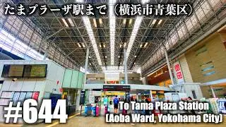 № 644 [4K] До станции Tama Plaza (район Аоба, город Иокогама)