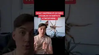 What Happens If Oxygen Doubled In Earth's Atmosphere! #Shorts