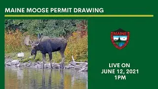 Maine Moose Permit Drawing - 2021
