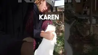 THE LIFE OF LEUKEMIA CATS