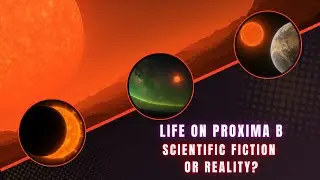 Proxima b: Could Life Really Exist on Our Closest Exoplanet?